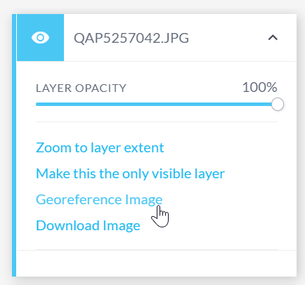 Georeference image